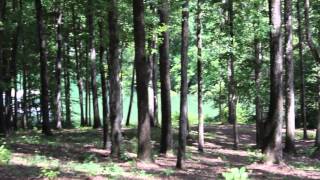 take a walk with me 2  (keep your head up - Ben Howard)