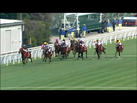 6/2/2022 (405) Savvy Kingman - Z Purton (Purton 5 wins!)