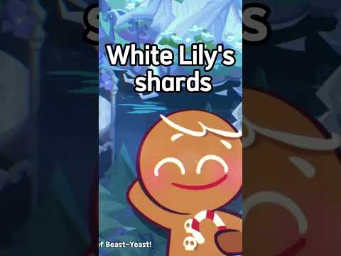 White Lily and the infinite glaze || Beast Yeast Chapter 1 summary (Part 1)