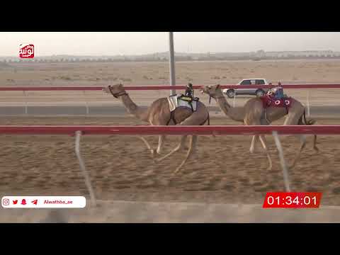 ش 9 (الشاعر) لـ احمد خالد الرشيدي 2:54 ، شارة صندوق الحلفه 2026/08/25 فطامين سويحان