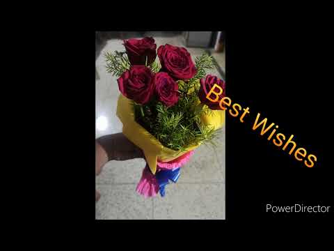 #Birthday Celebration | Soujanya Birthday🎂 🍫🍫