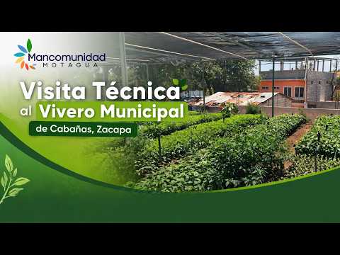 Visita Técnica al Vivero Municipal de Cabañas, Zacapa