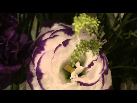 CHEGUEI - FLOR DE JAGUBE - PAD.SEBASTIÃO 125