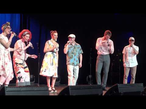 AAVF 2017 - Elephant Claps - L'Ov