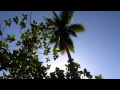 Coconut Man!