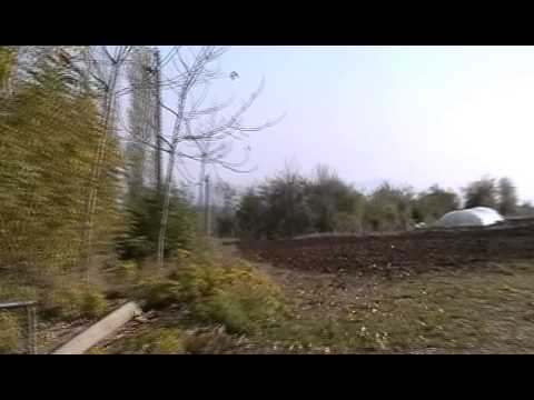 Lokalitet Bezhanija - Norçë