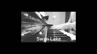 Download lagu チャイコフスキー：白鳥の湖 Tchaikovsky: Swan Lake mp3