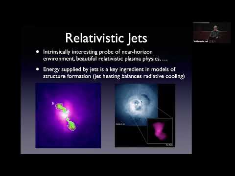 Black Hole Polarimetry as a Probe of Spin Energy Extraction