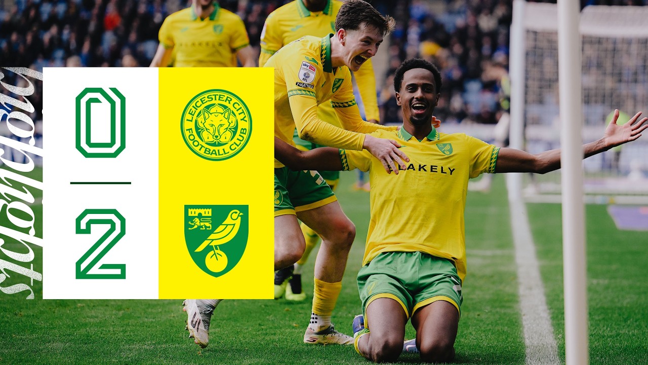 Leicester City vs Norwich City Highlights