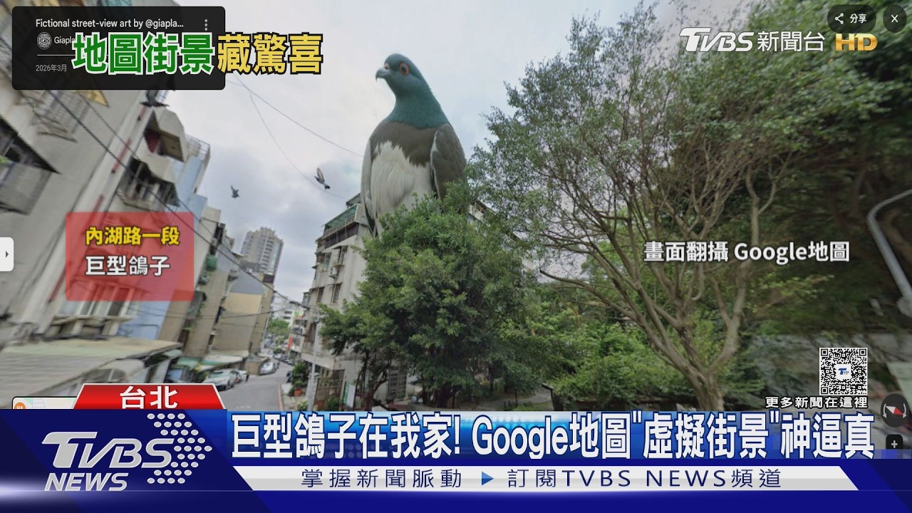 內湖街景驚見「巨型鴿子」!設計師3D創作神逼真 住戶好驚喜