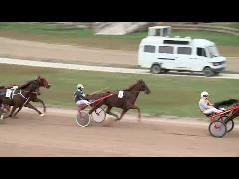 2022.11.12. 16. futam - SZABADKAI DÍJ