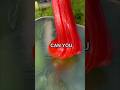 Testing VIRAL SLIME Recipes WITHOUT GLUE And ACTIVATOR DIY How To Make Slime
