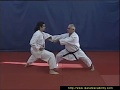 Bunkai Bassai Sho Par Jean Pierre Lavorato