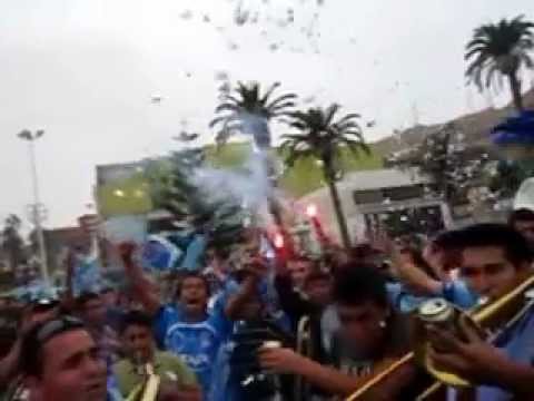 "DALE DALE DALE CAMPEON ;) !" Barra: Los Bravos del Morro &bull; Club: San Marcos de Arica