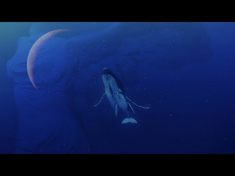 Nathalie King - Beautiful Soul (Official Music Video)