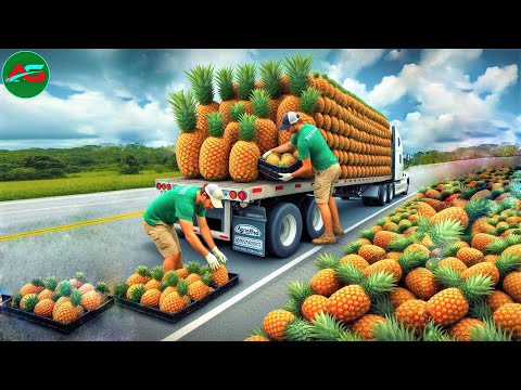 How Millions World's Most Attractive Fresh Pineapples Are Produced & Processed In Modern Agriculture