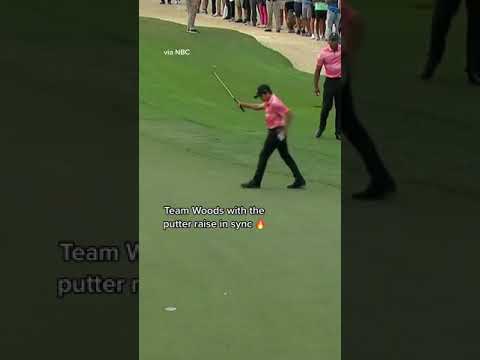 Doesn't get much better than this 🐅