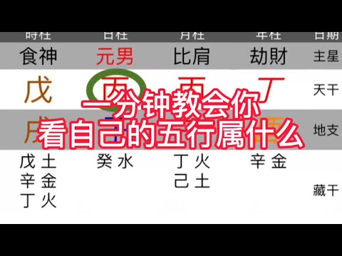 個人五行查詢