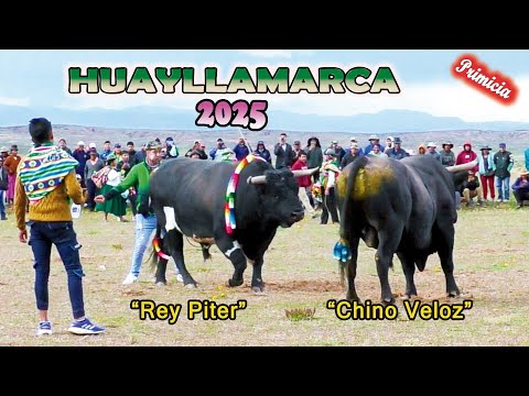 HUAYLLAMARCA 2025 -"Rey Piter"-"Chino Veloz". (Video Oficial) de ALPRO BO.