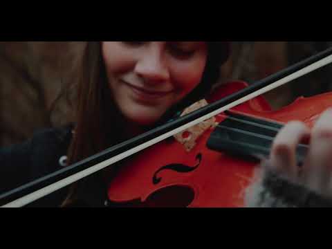 The Edge of Winter - Taryn Harbridge