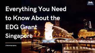 Everything You Need to Know About the EDG Grant Singapore