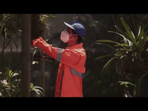 Orquídeario, Reserva Natural Privada SETAL, El Estor, Izabal