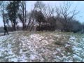 DIV XVI Doc Firing Cannon Brandy Rock 3GP