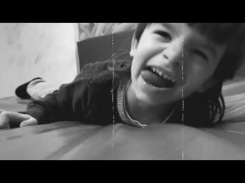 SION - T REX vs Velociraptor