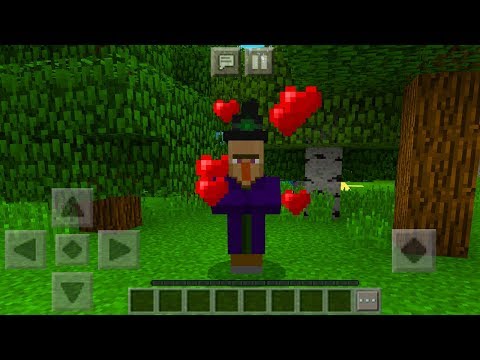 Flax - How To Breed WITCH in Minecraft Pocket Edition (WITCH Breeding Addon)