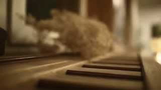 Their Ocean - Skies Light Up (Official Music Video)