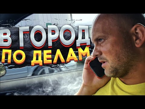 Поездка в город по делам. Пока нас не было на хуторе, то Дик опять набедокурил. Посылка из Москвы
