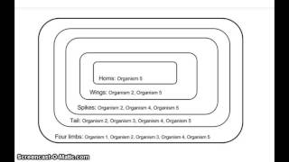 Build your own cladogram - BetterLesson