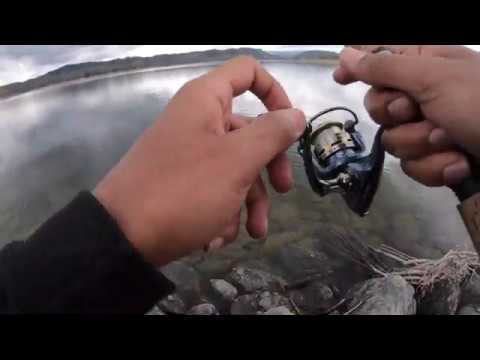 Jigging at Lake Nacimiento