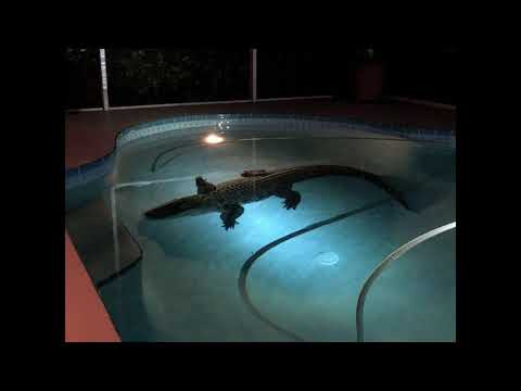 [FREE] ~ "Stupid"| Mayot X Seemee X Soda Luv type beat