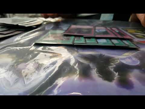 1st place LLDS Napoli Marco Sarno:True draco demise