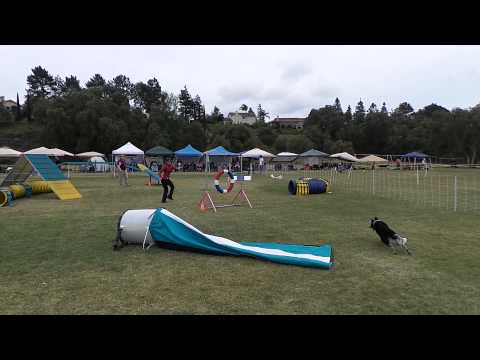 kama & Gumby's masters challenge standard