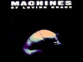 Machines Of Loving Grace - Butterfly Wings