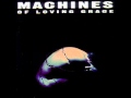 Machines Of Loving Grace - Butterfly Wings 