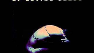 Machines Of Loving Grace - Butterfly Wings