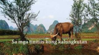 Babalik Ka Rin...Leo Valdez