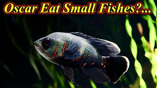 Oscar மீன் சின்ன மீன்கலை உன்னுமா?.. Will Oscar Fish Feed On Small Fishes / Fish Aquarium Tamil