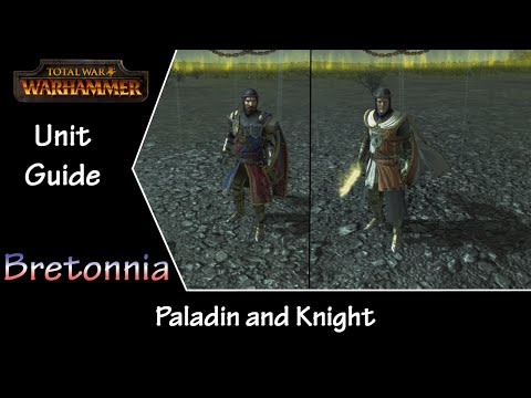 Total War: Warhammer Unit Guide - Bretonnia Paladin and Lord