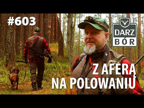 Darz Bór odc. 603 - Z Aferą na polowaniu