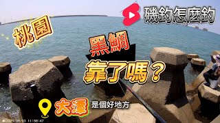 桃園｜大潭出水口南面!今天主要看看有沒有黑鯛臭肚! #磯釣怎麼釣 #臭肚 #赤翅仔 #黑格 #黏巴達釣餌