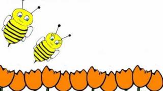 Honey Bee Animation - Zee Avi