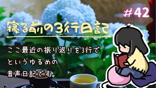 寝る前の3行日記　youtubeで42回目(๑•᎑•๑)
