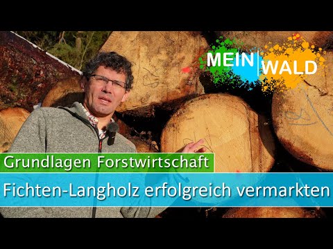 🪵🌲Wie vermarktest du Fichten-Langholz erfolgreich? Wir zeigen es dir!