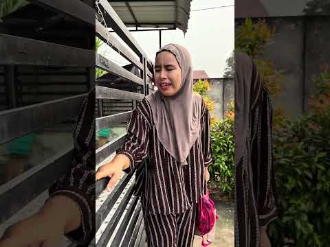 Pak Bajai Terbaik ⁉️