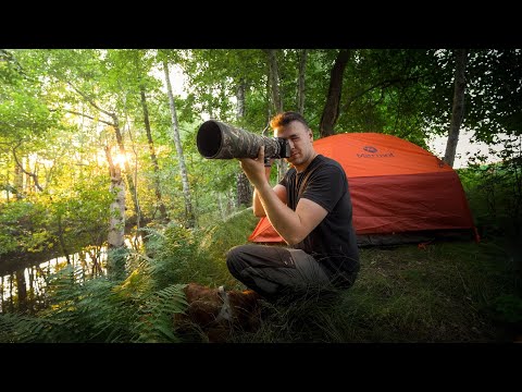 Solo Camping + Bird Photography // Shooting Kingfishers with Gamander López