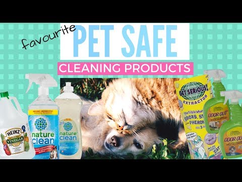 5 PET-SAFE CLEANING PRODUCTS (non-toxic)